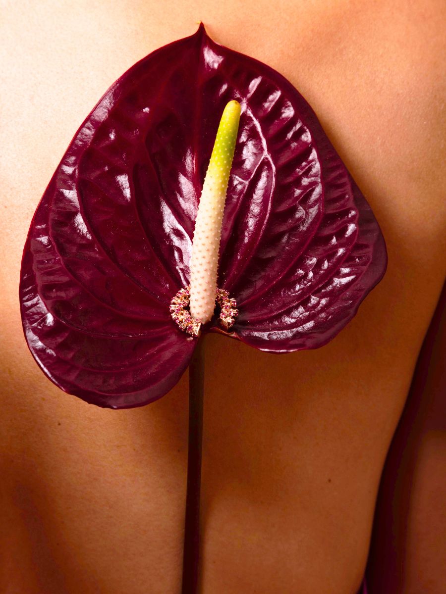 Burgundy toned anthurium with jewelry piece