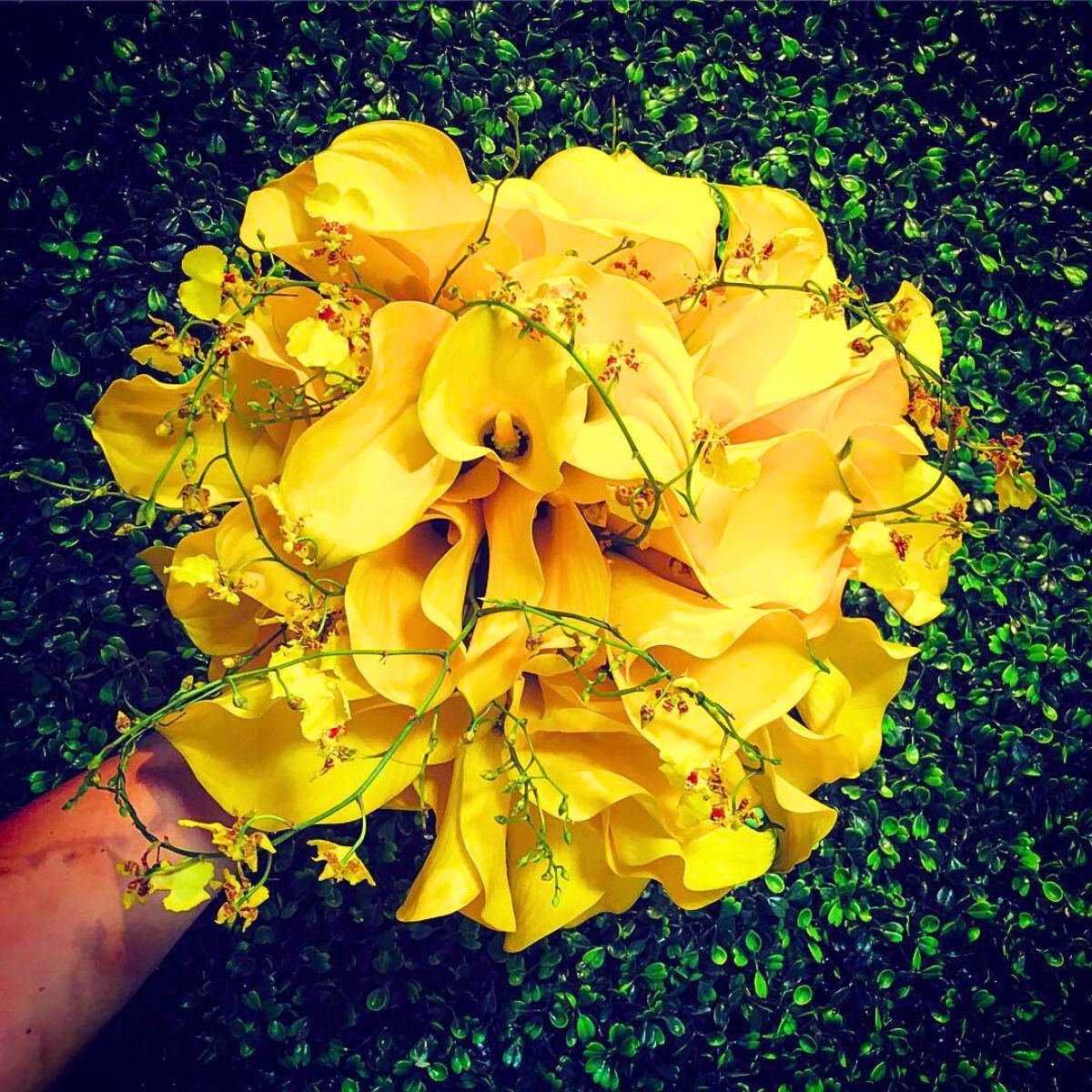 Circular bouquet with yellow callas