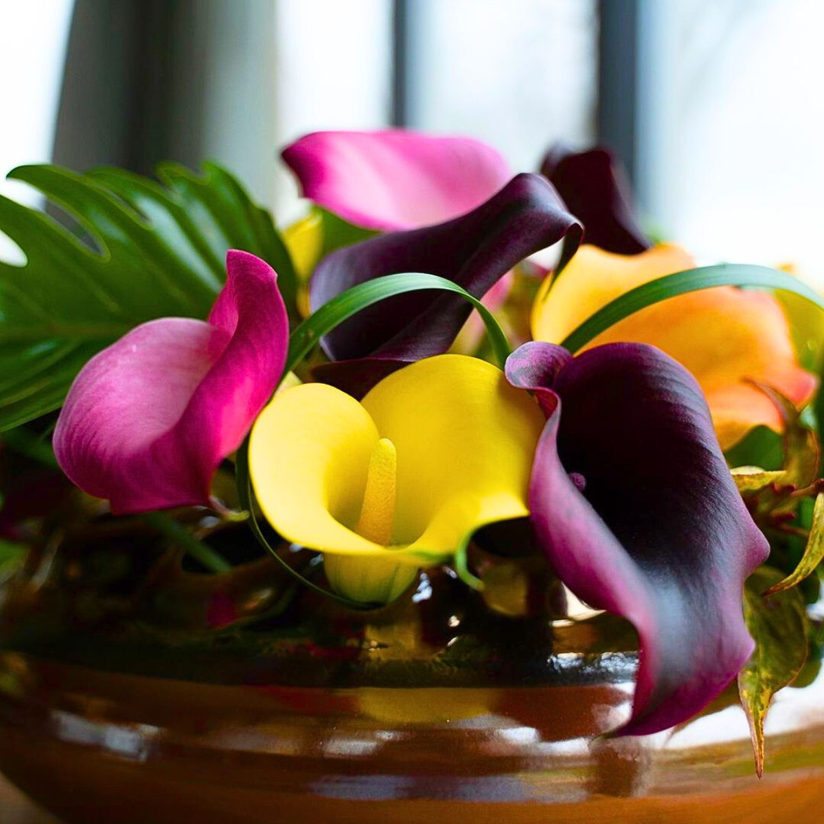 Mix of yellow pink and deep burgundy callas