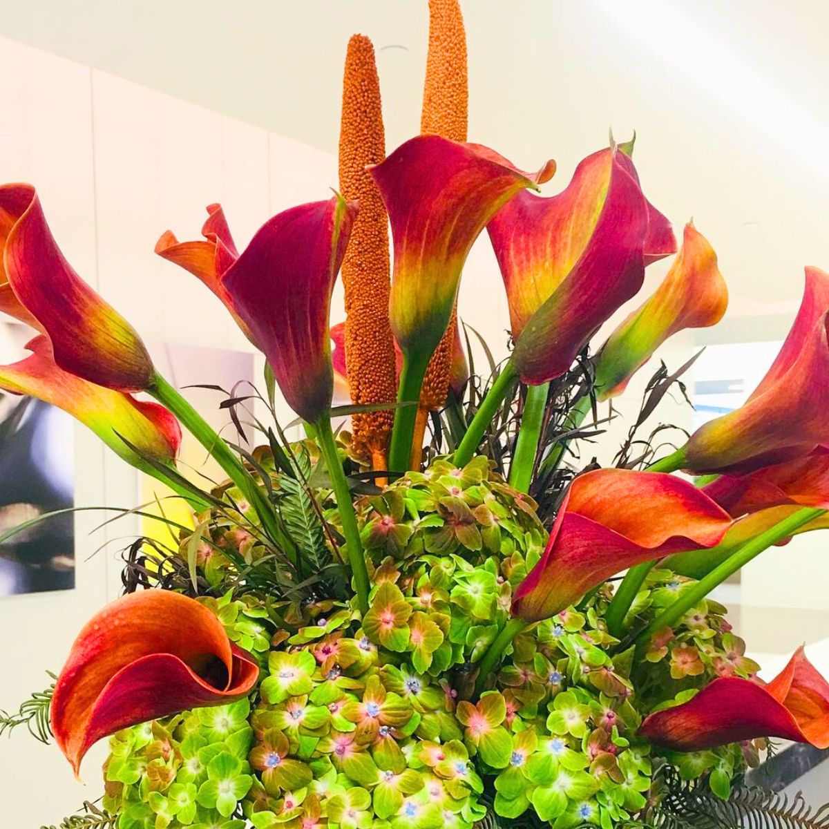 Orange toned calla lilies with hydrangeas and greens