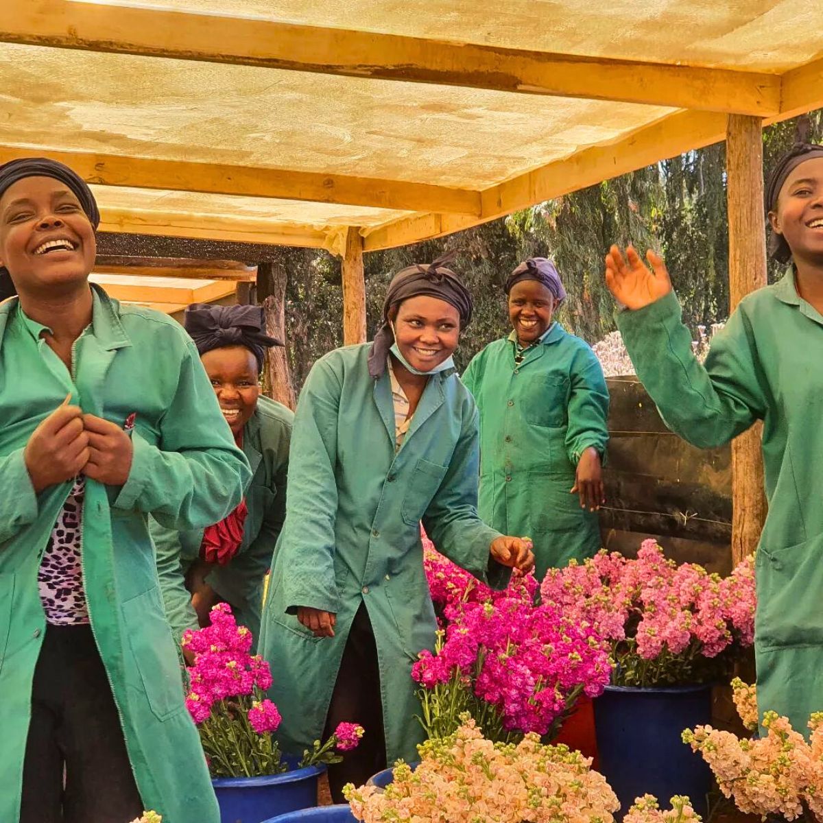 Kisima Flower Farm is Leading the Way in Sustainability