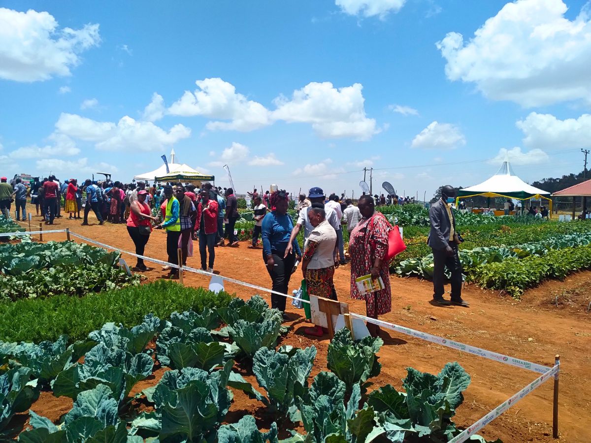 Kisima Flower Farm is Leading the Way in Sustainability