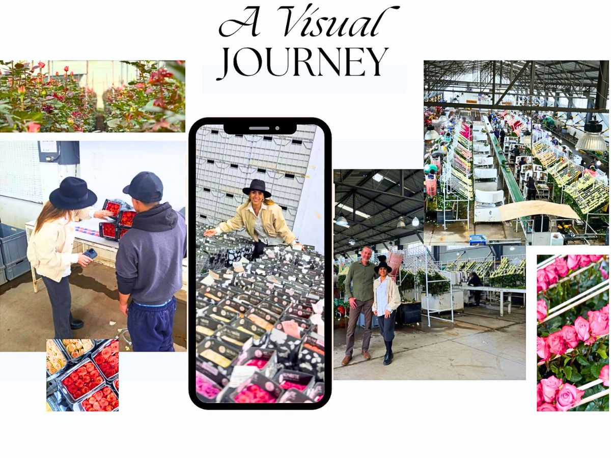 A visual journey and experience at Sunrite