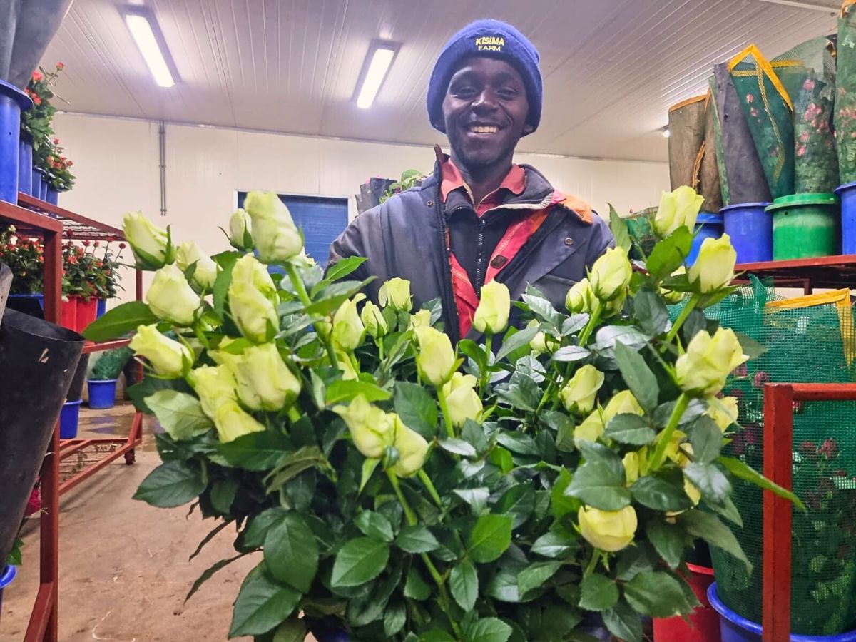 Kisima Flower Farm is Leading the Way in Sustainability