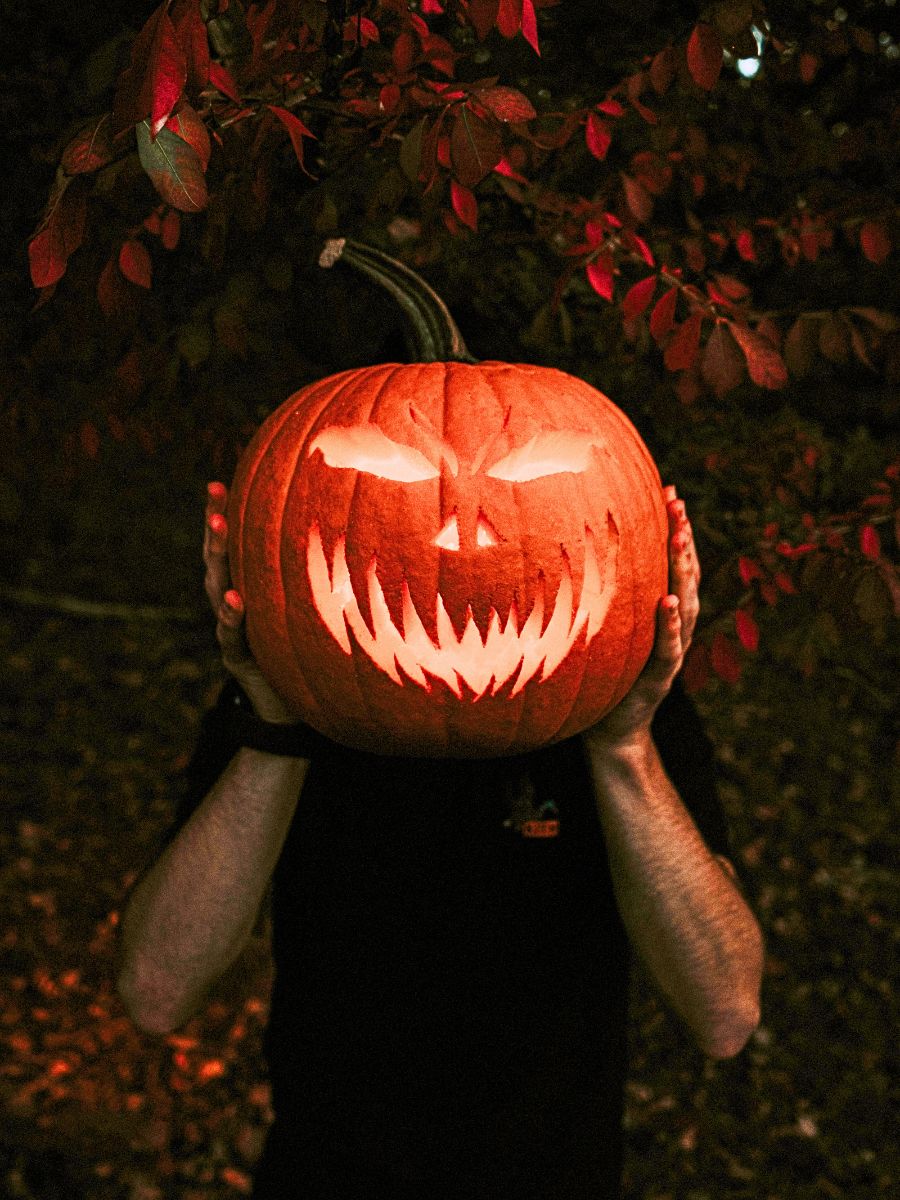 Lit Jackolantern for Halloween