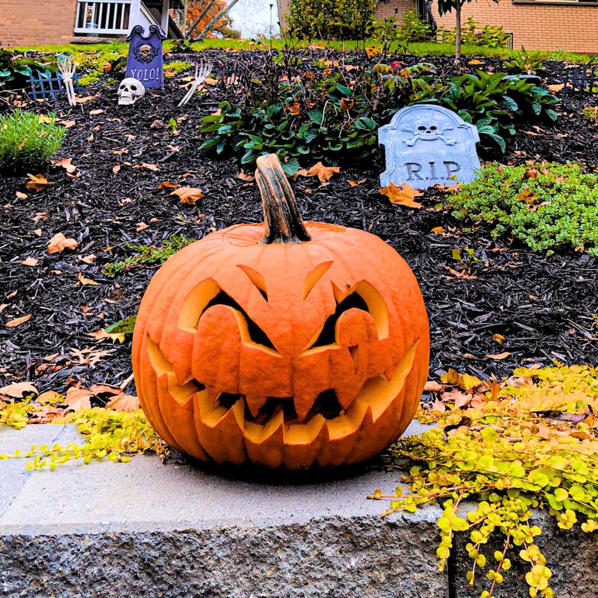 The pumpkin is one of Halloweens symbols