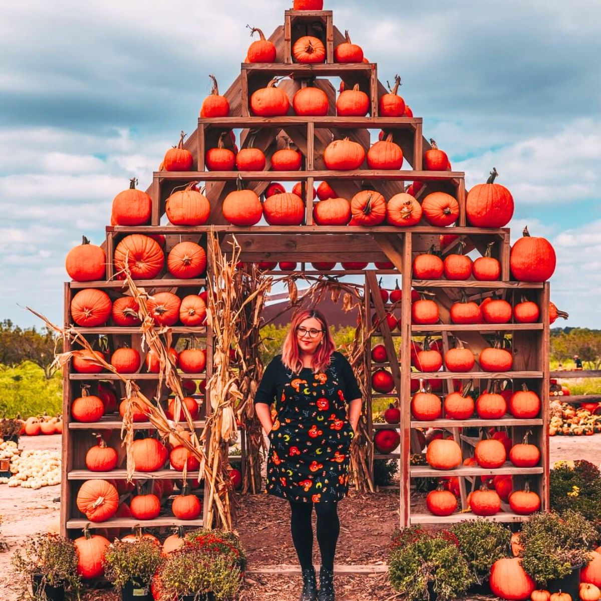 A house of pumpkins