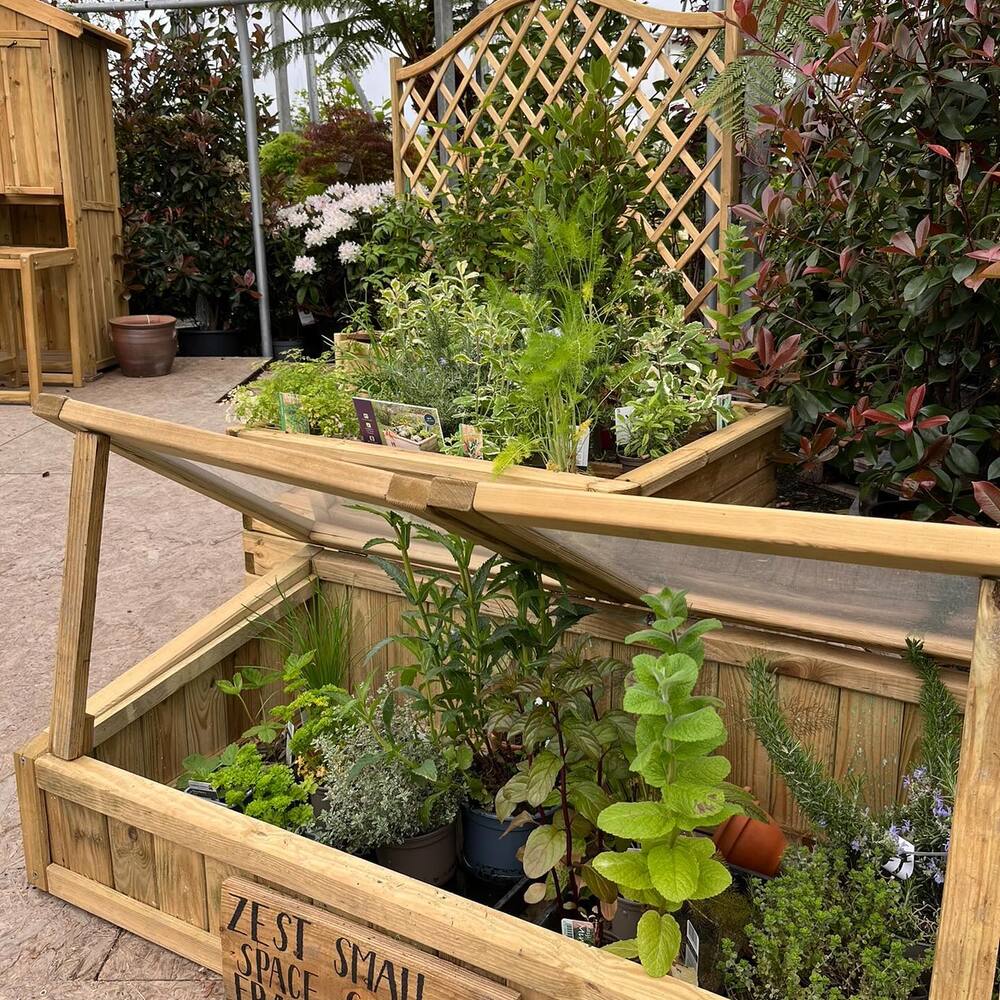 Plant shed for protection from insects