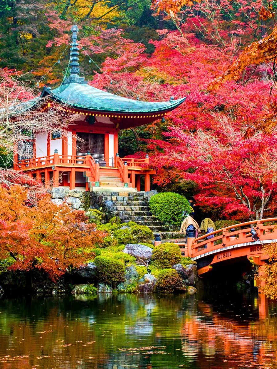 Fall foliage in Kyoto