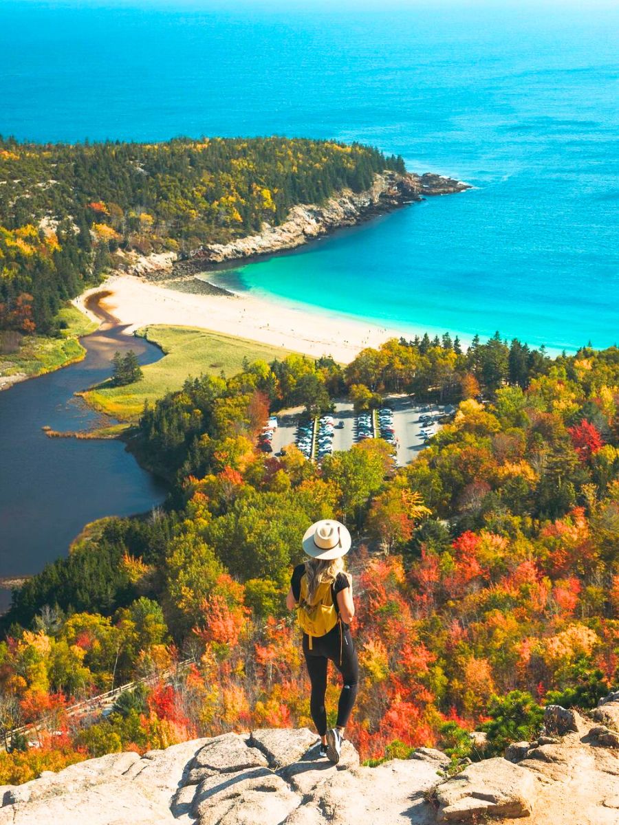 Acadia National Park full of fall trees