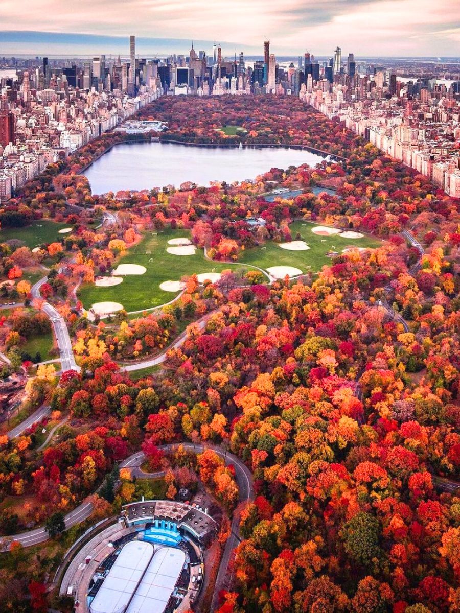 View of Central Park full of red orange and yellow trees