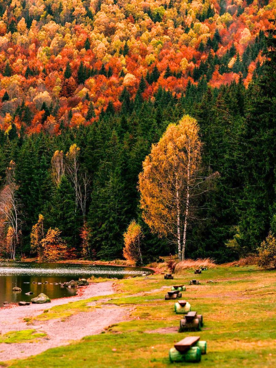 Romanian fall foliage