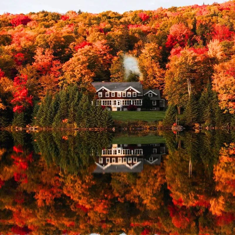 fall foliage in New England