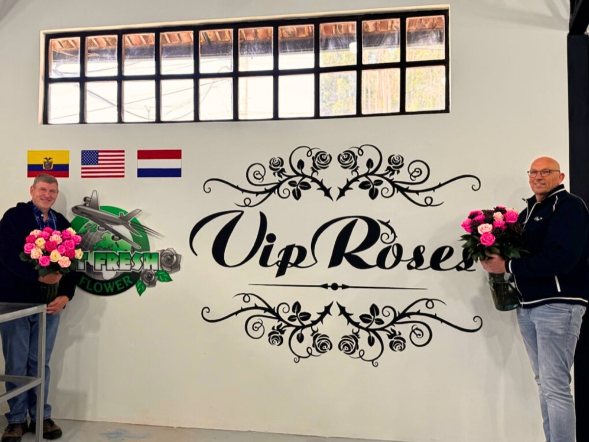 Jet Fresh Will Now Produce and Distribute VIP Roses Across North America and the Caribbean