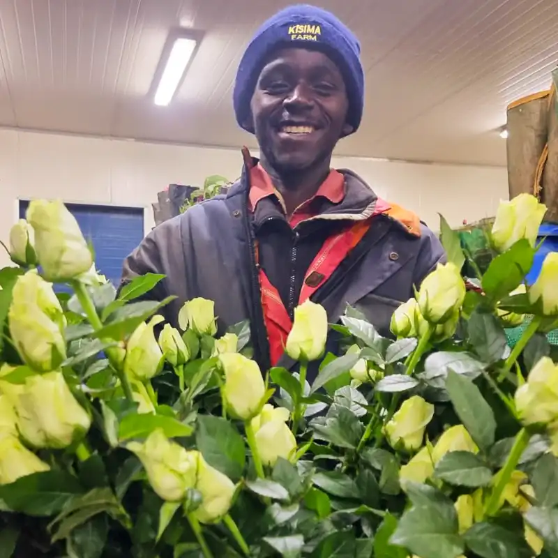 Kisima Flower Farm is Leading the Way in Sustainability