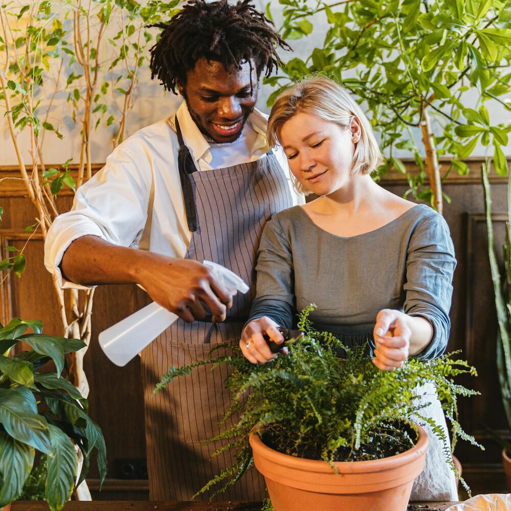 Couple planning for new palnt for garden