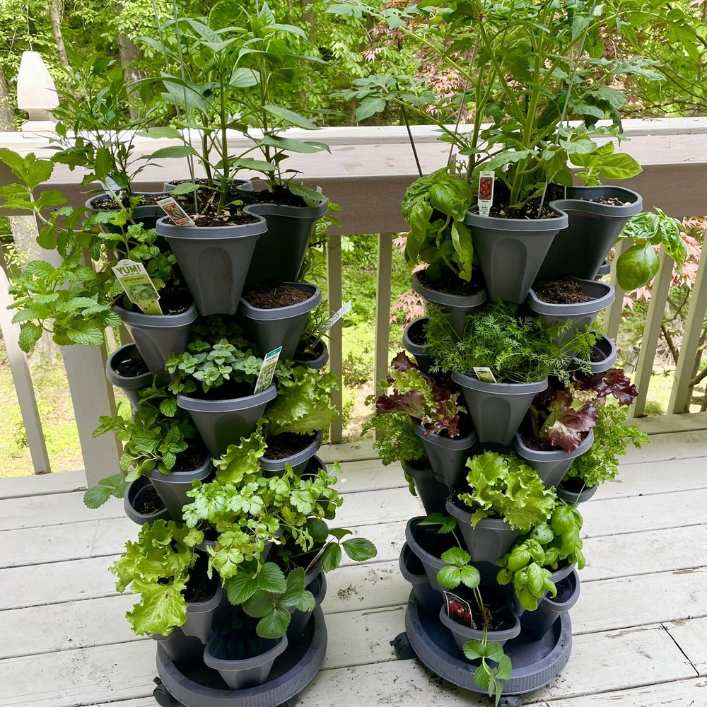 Modern tower garden is planted