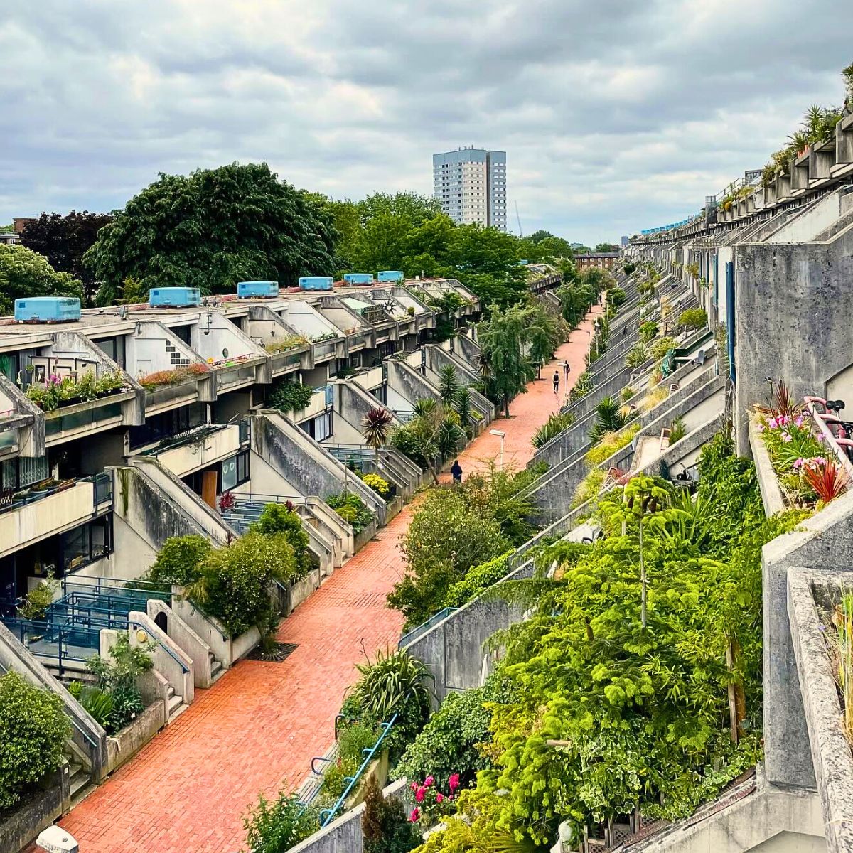 ​Olivia Broome Curates the Fusion of Brutalist Architecture and Lush Vegetation in Her Photobook