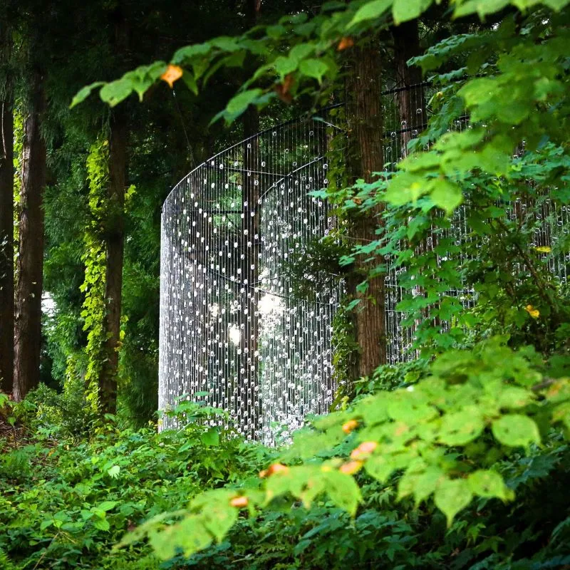 Prescription lenses in Japanese forest