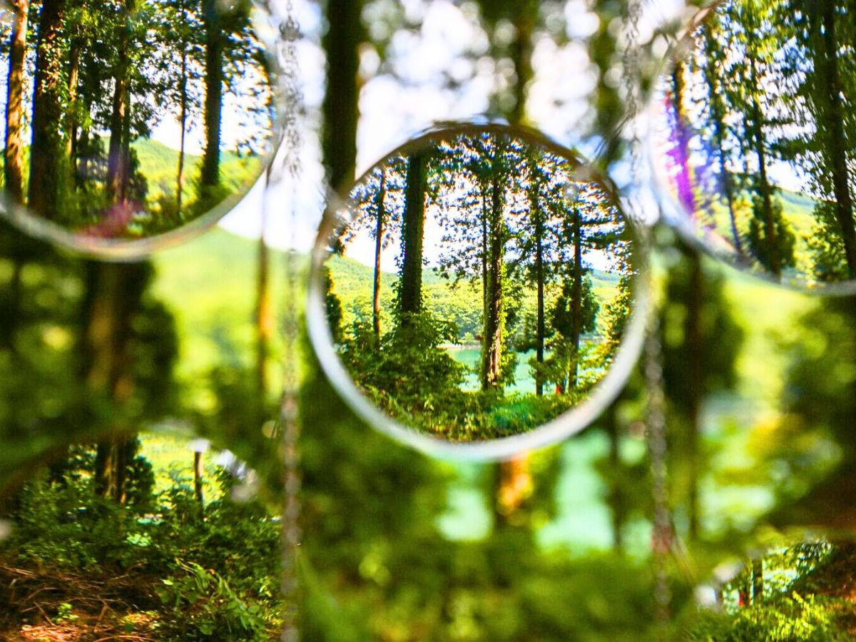 View of nature through the lenses