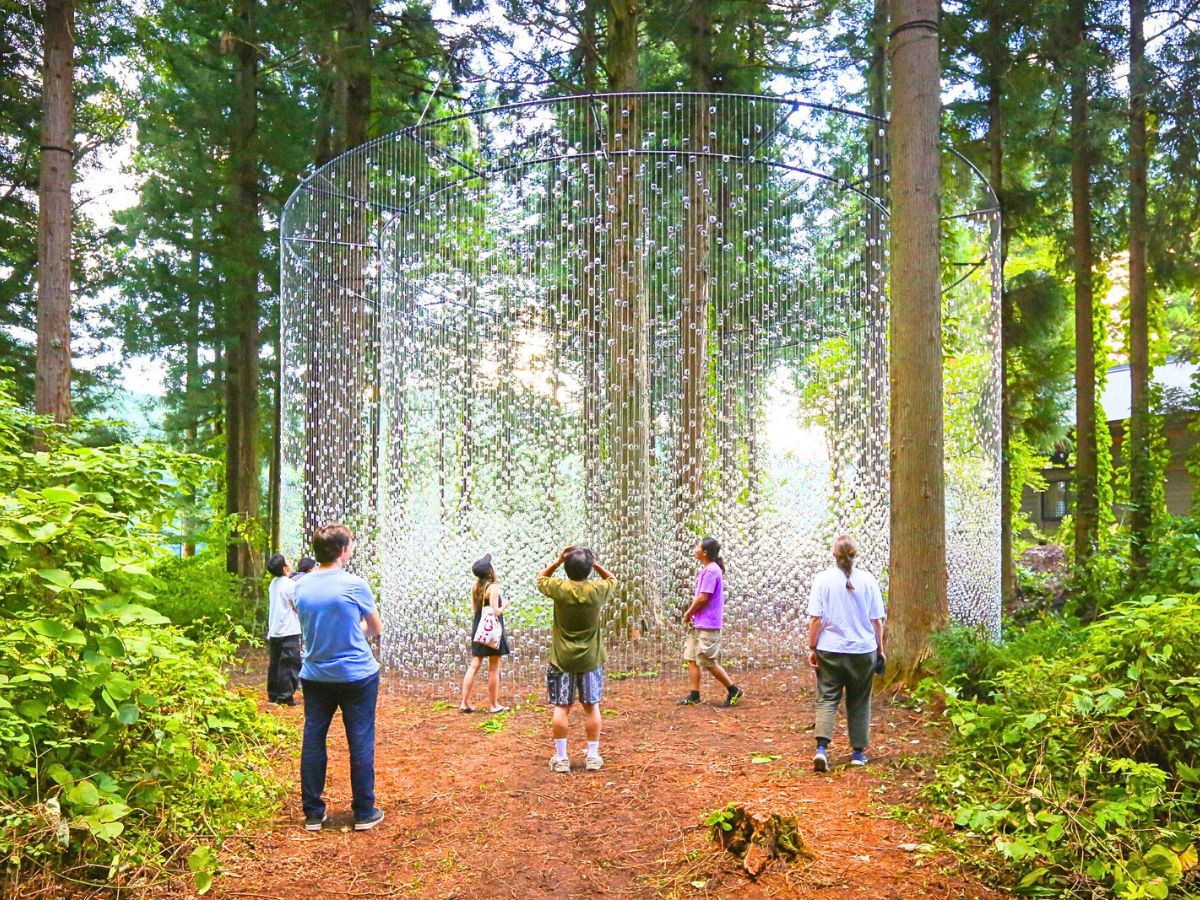 People in awe seeing the project in the forest