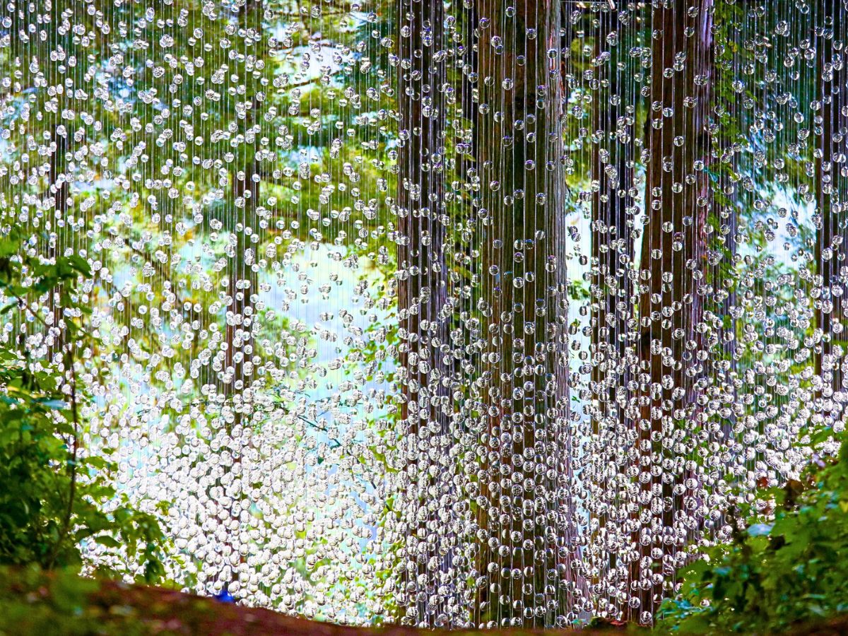 A curtain of prescription lenses betwen nature