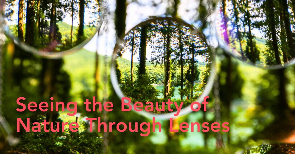 Beauty of nature through lenses