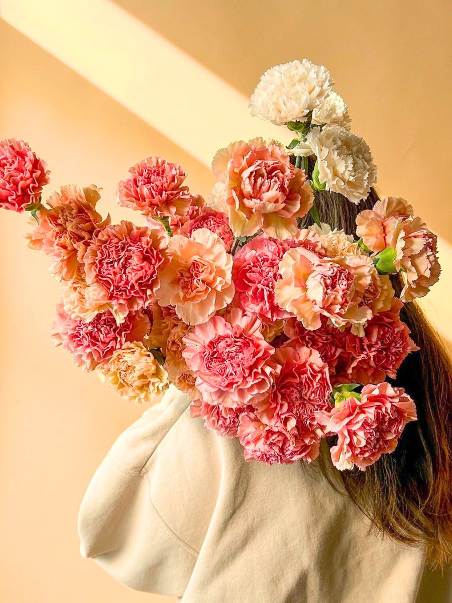 Pink and peachy toned carnations