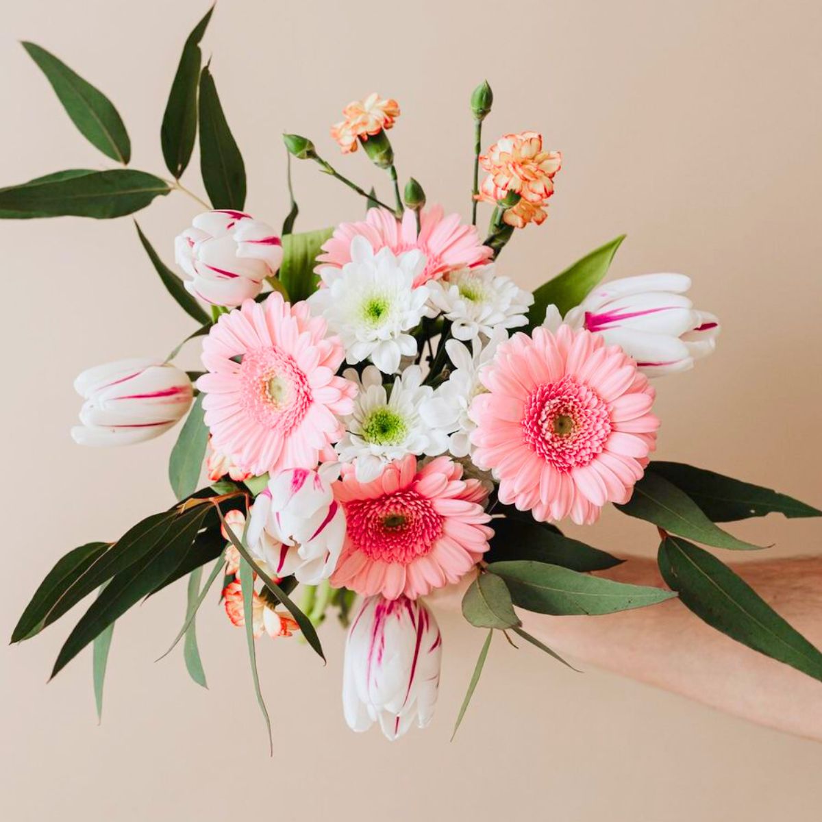 Pink gerbera flowers by Coloured by Gerbera