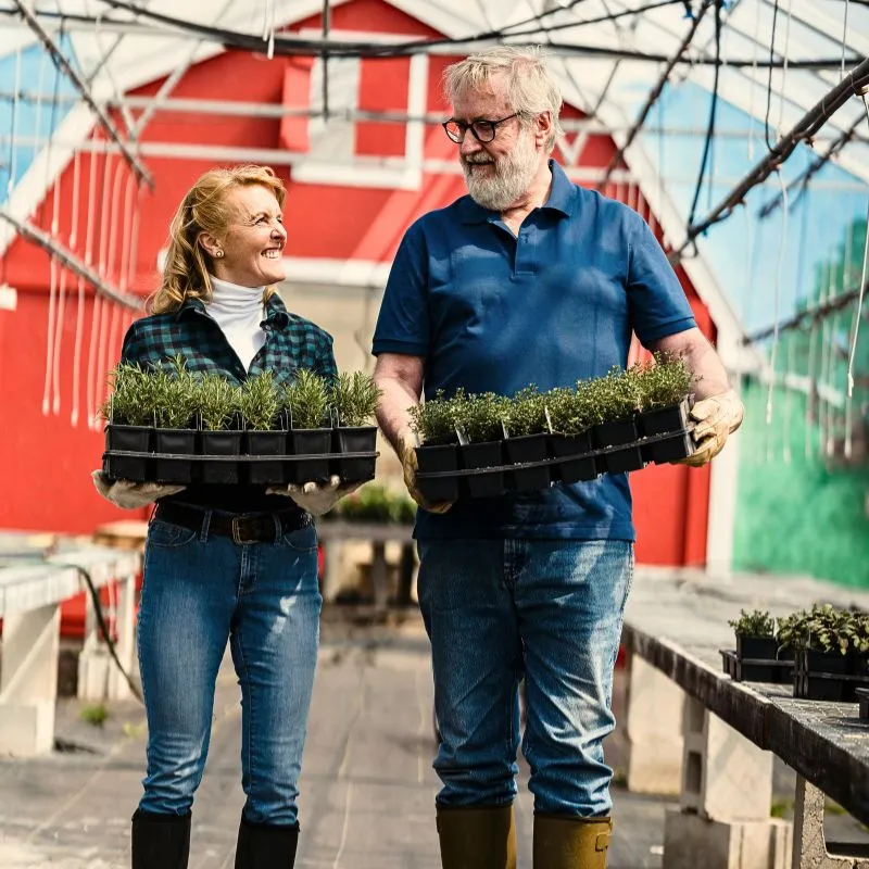 Gardening Can Impact Your Well Being