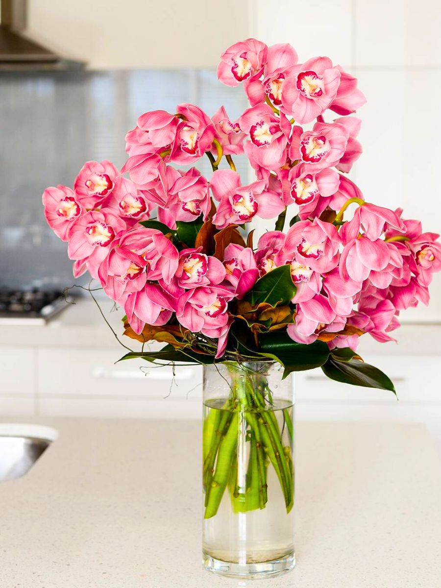 Pink orchids by Interflora Australia