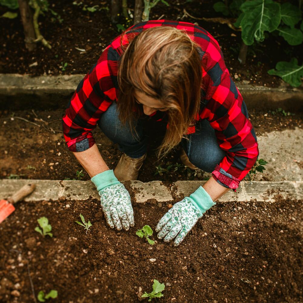 lady planting new plant in garden area 