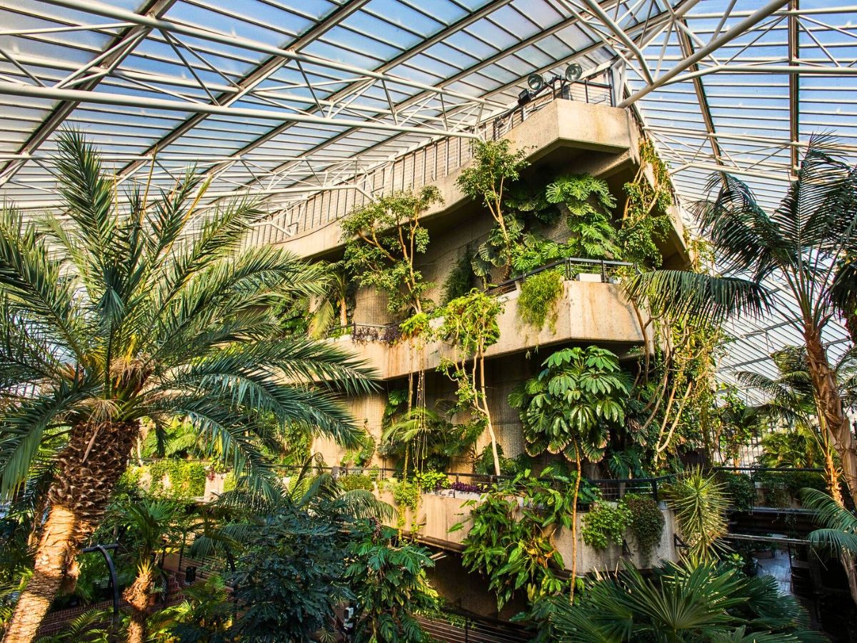 Olivia Broome Curates the Fusion of Brutalist Architecture and Lush Vegetation in Her Photobook