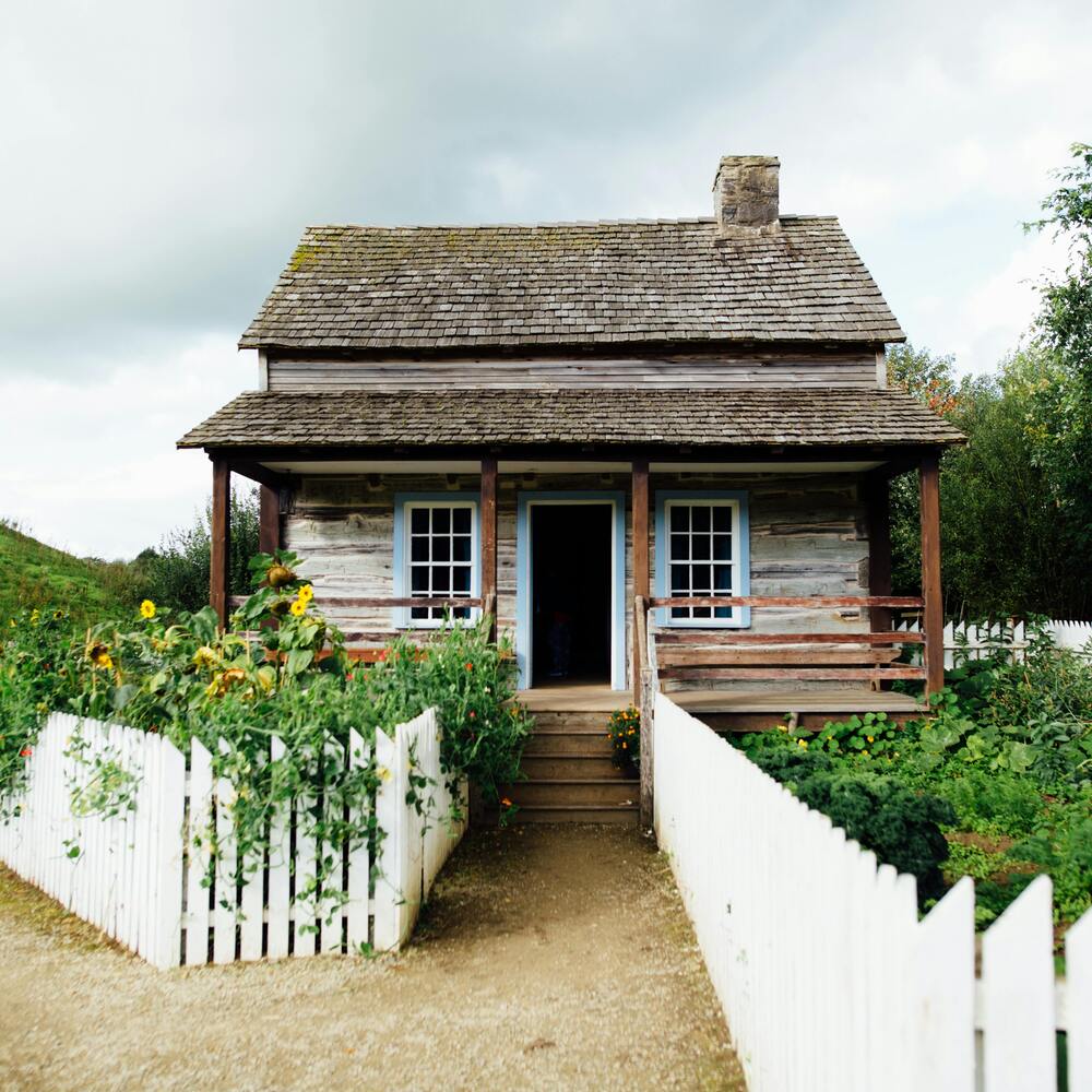 Small wooden house with garden plants