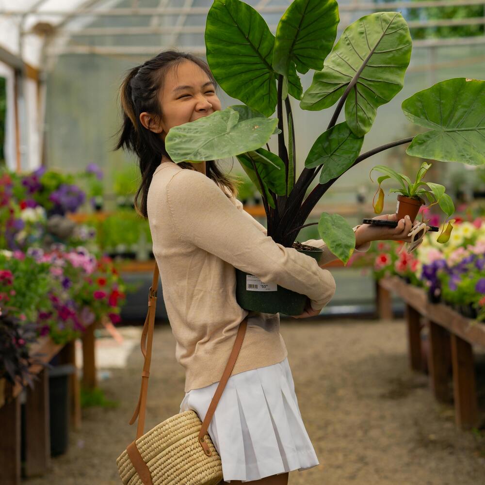 Girl holding plant for home garden