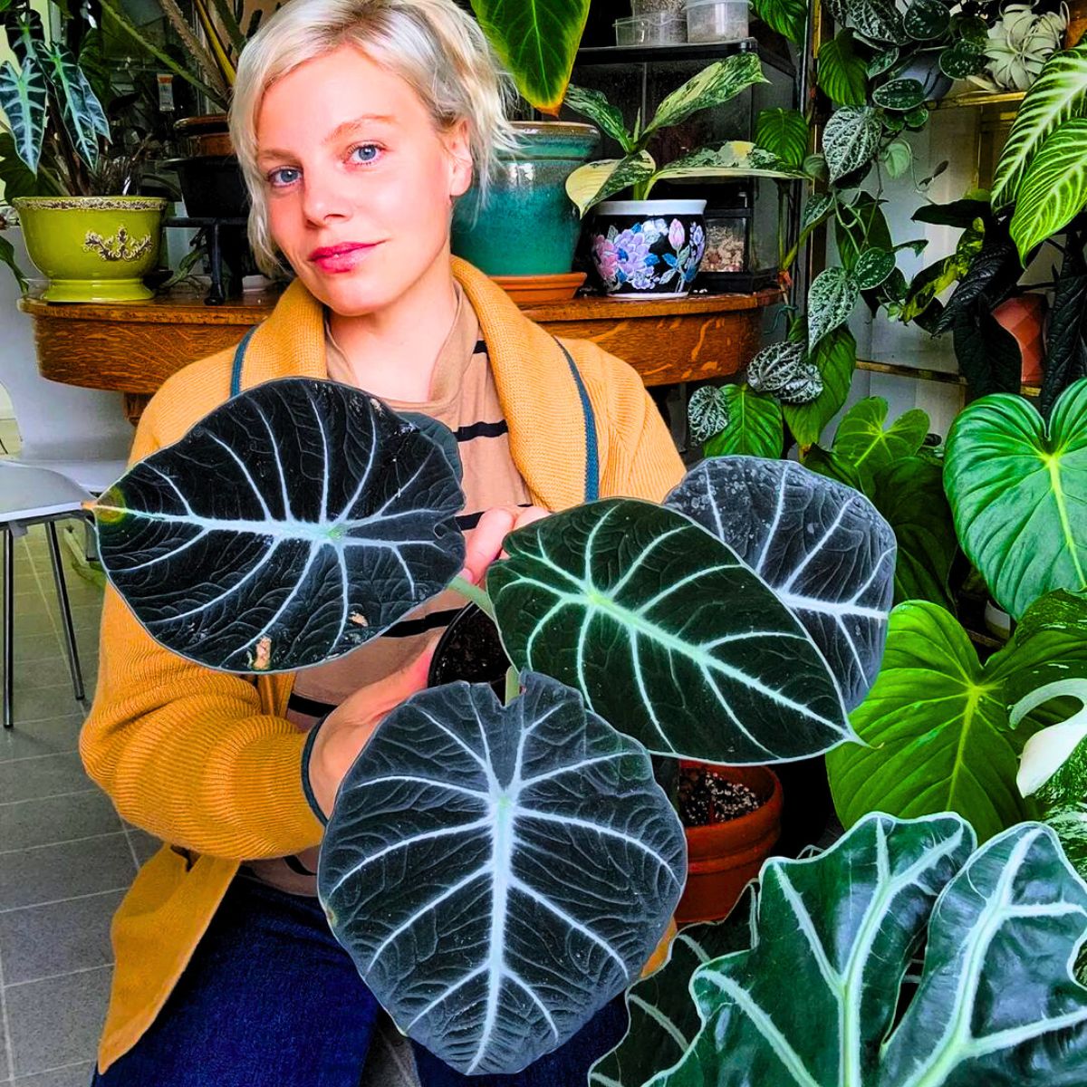 Girl with Alocasia Black Velvet