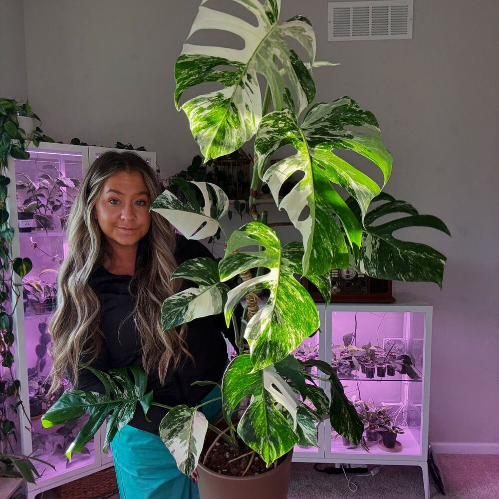 old lady hold a big indoor plant