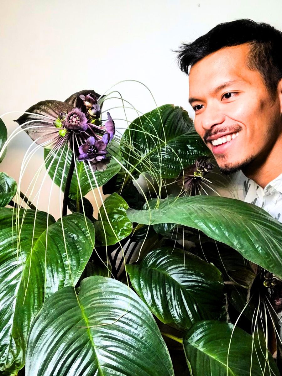 Guy with black bat flower