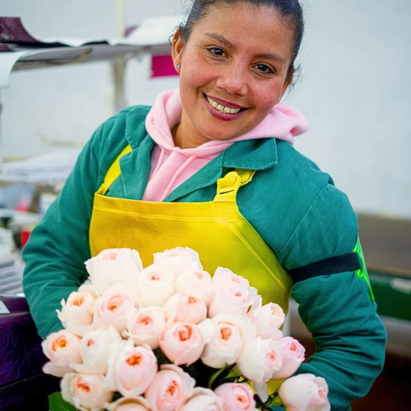 Alexandra Farms garden roses