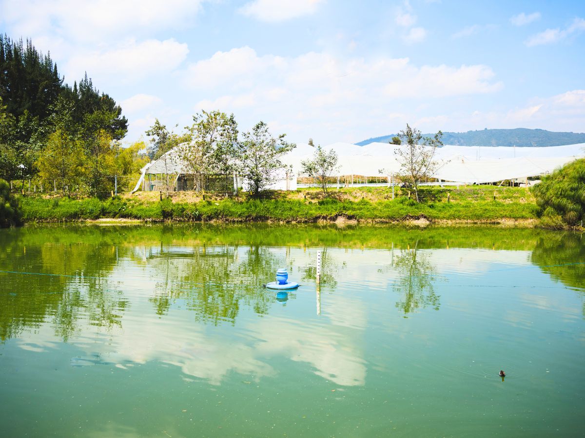 Water preservation at Alexandra Farms