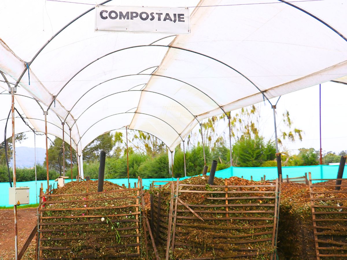 Compost area at Alexandra Farms