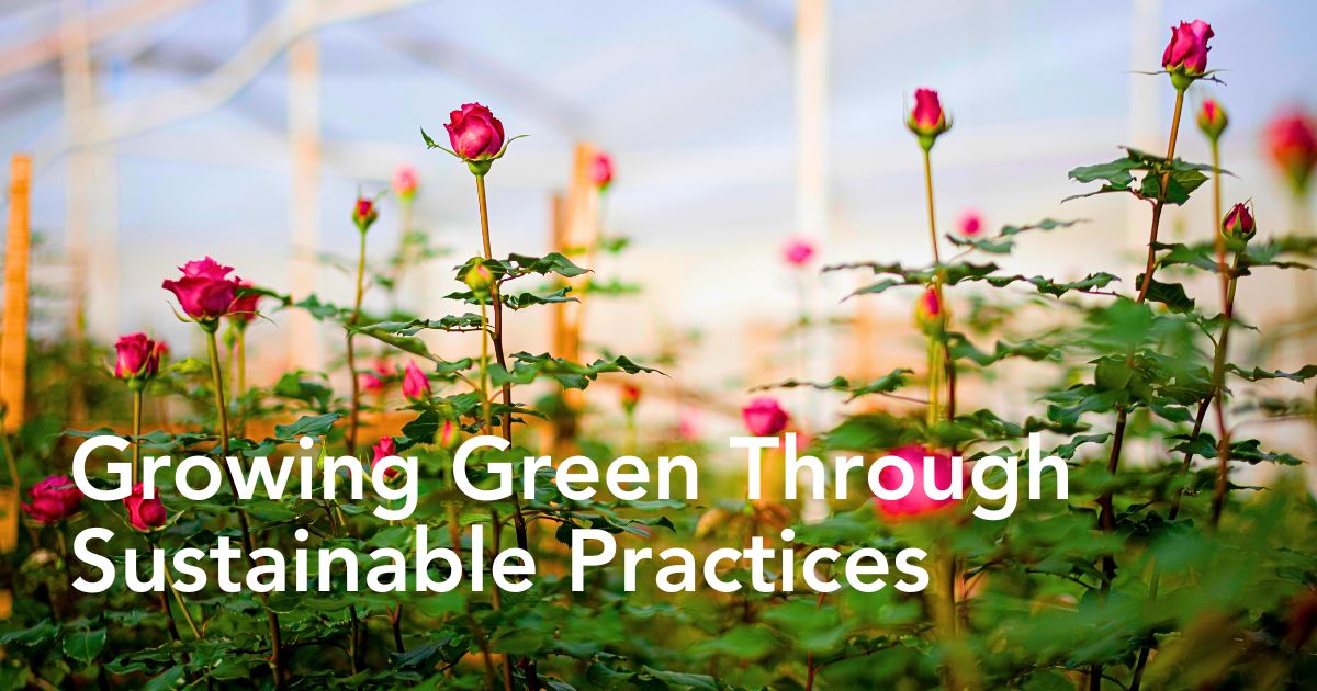 Growing green through sustainable practices