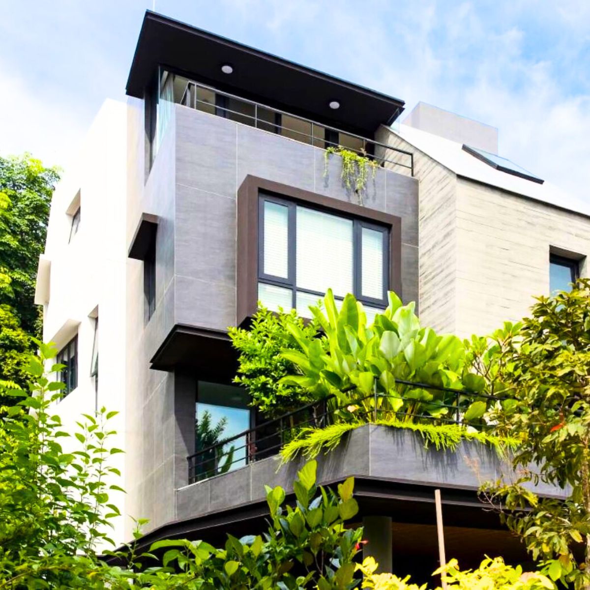 A house with green native plants