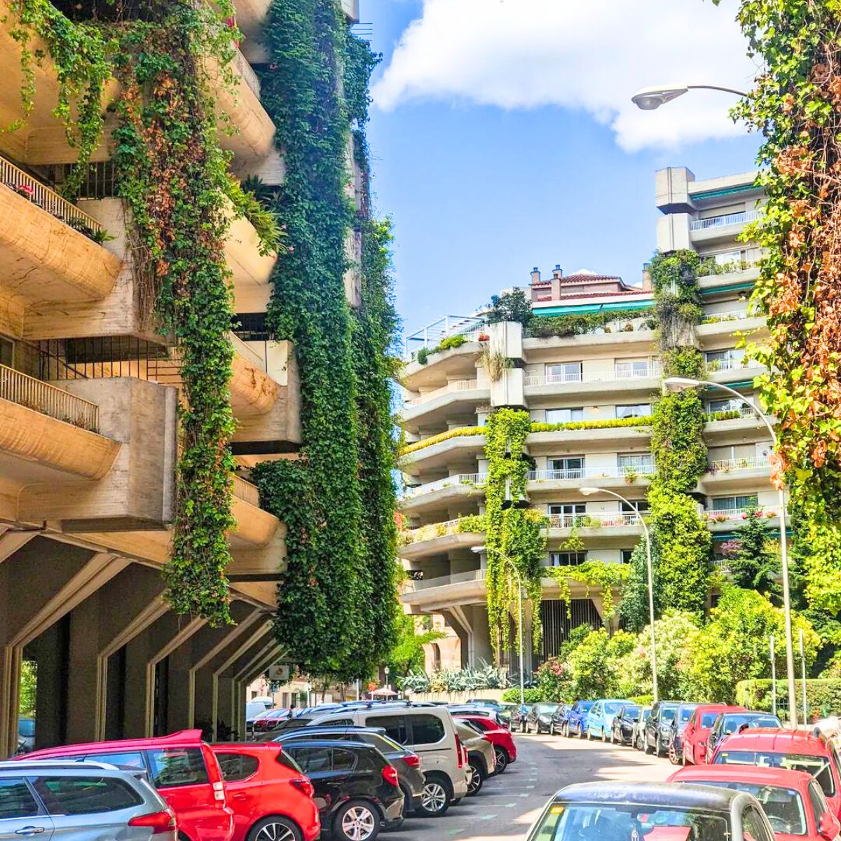 Buildings filled with hanging plants and planters