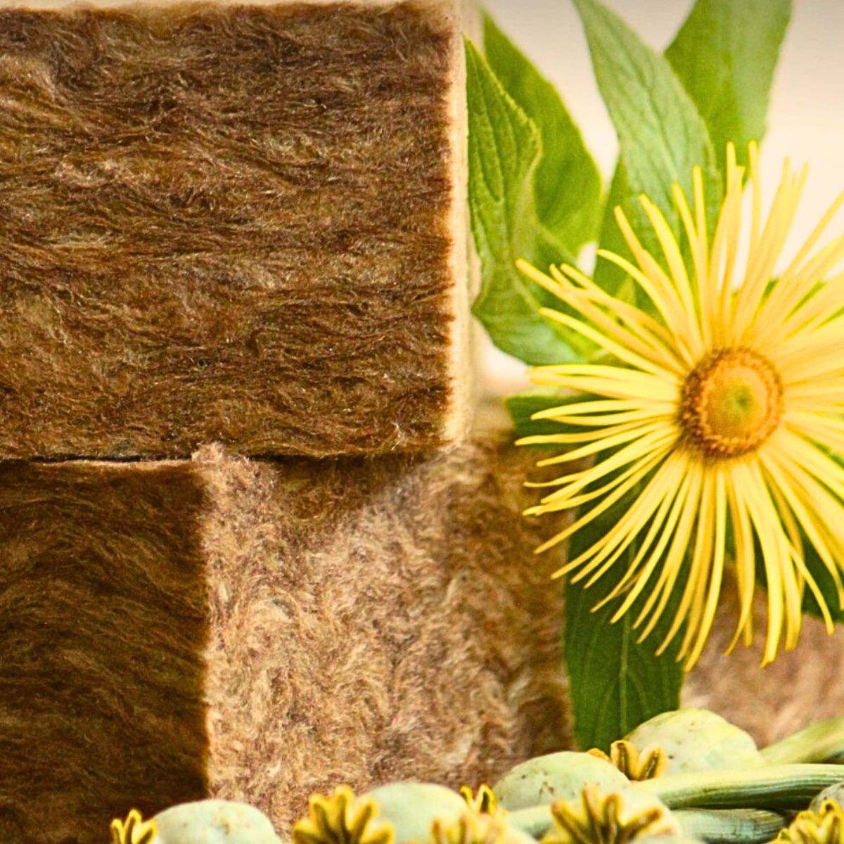 Sideau® Block​ From Agra Wool Presents a Sustainable and Eco-Friendly Alternative for Floristry