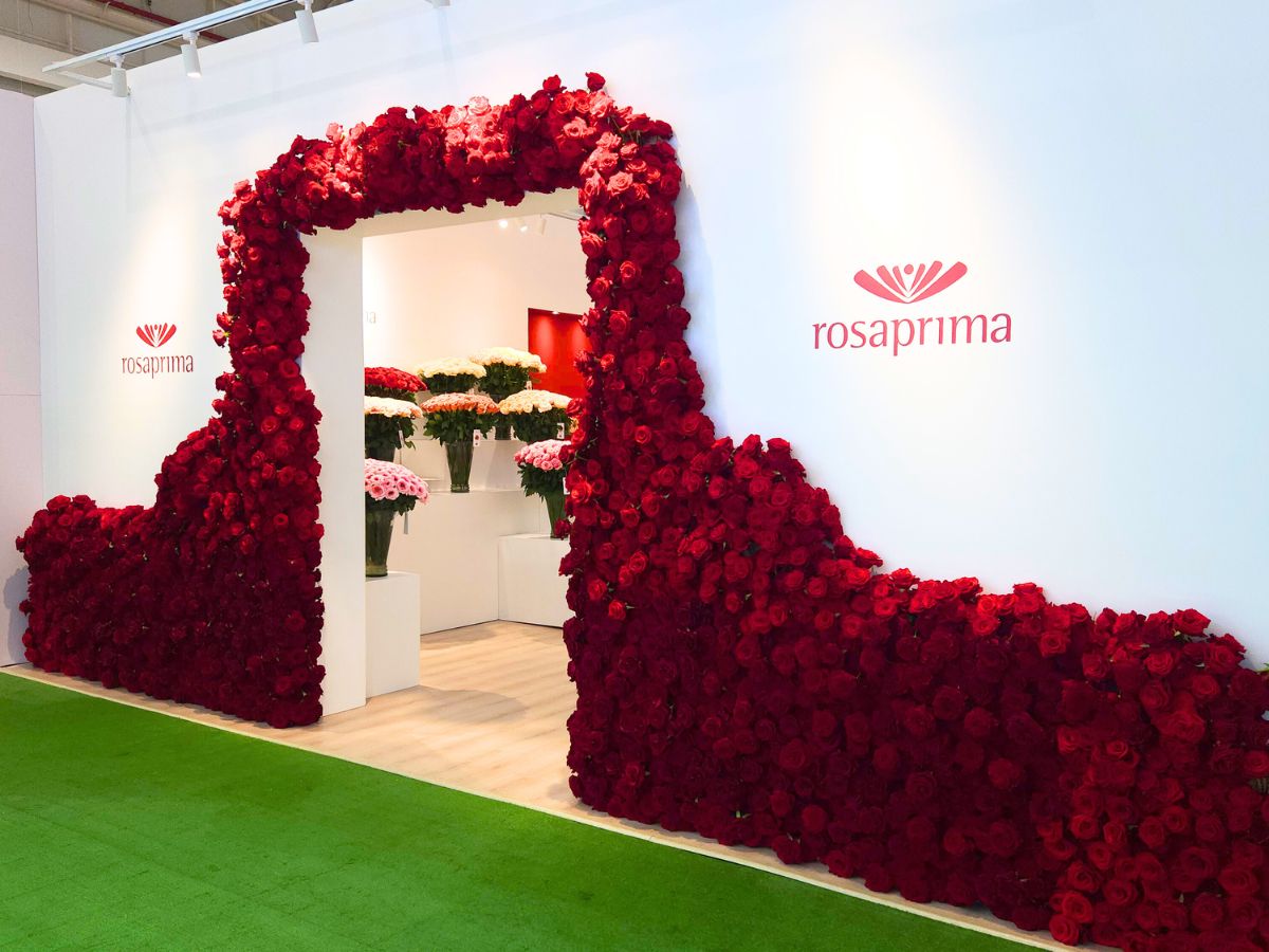 Part of the Rosaprima booth filled with red roses