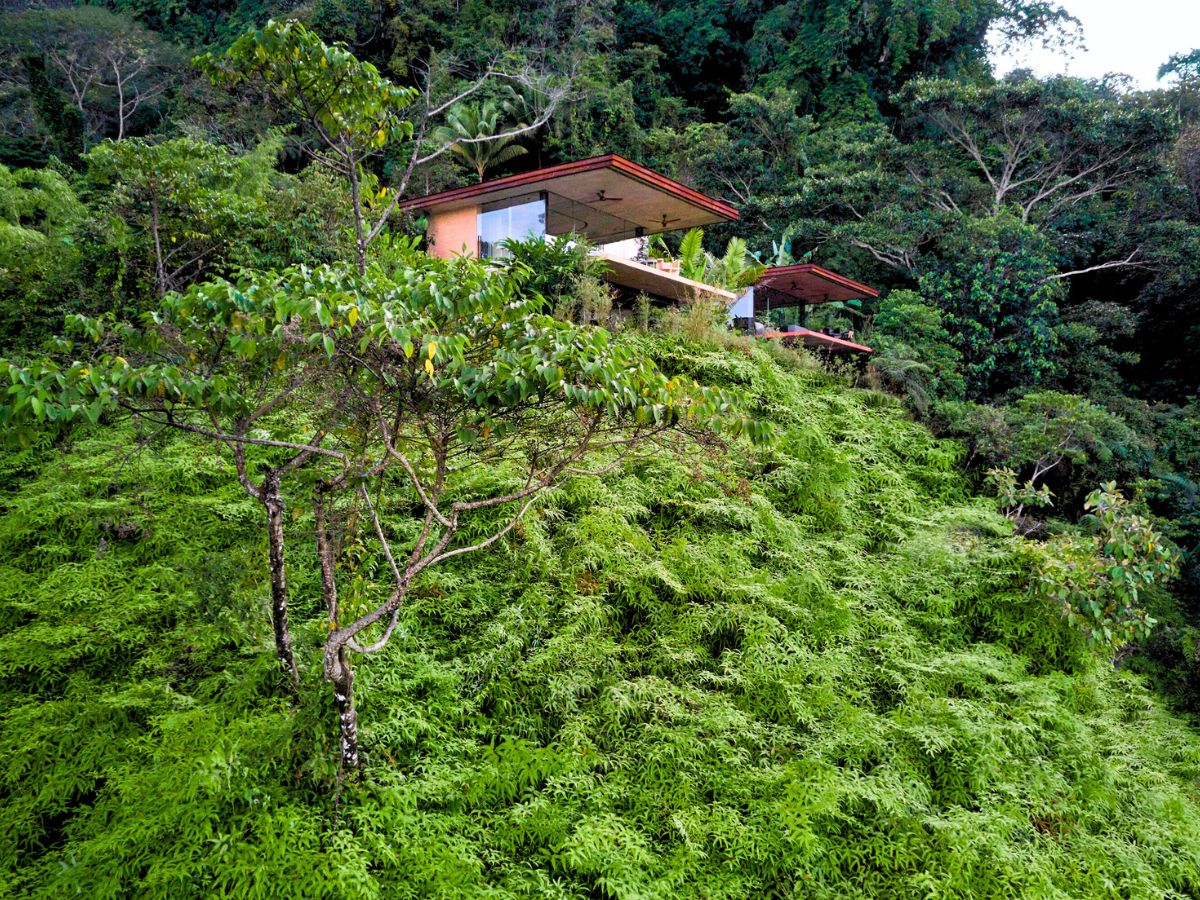 Jungle vibes in Casa Achiote