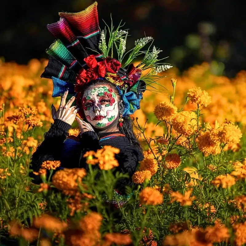 Flowers of the Dead in Mexico's Marigold Fields of Puebla Celebrate the Day of the Dead