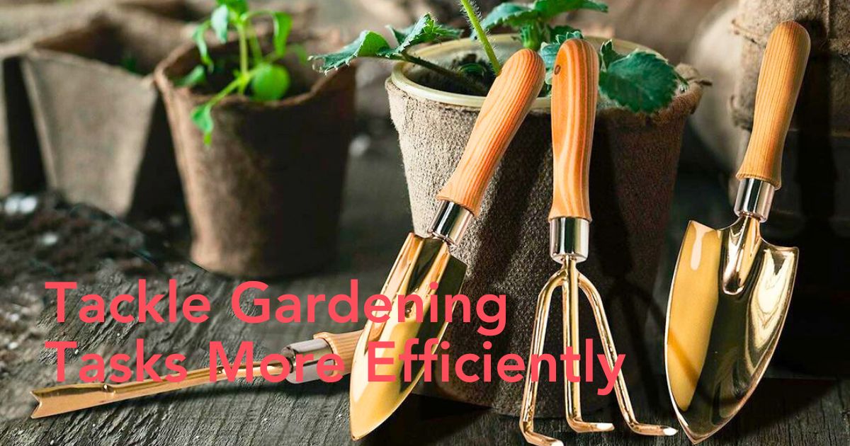 Best Garden Tools