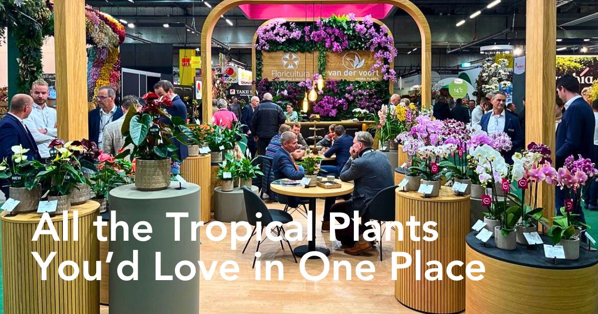 Floricultura’s Floral Galore That Awaits You at Trade Fair Aalsmeer 2024